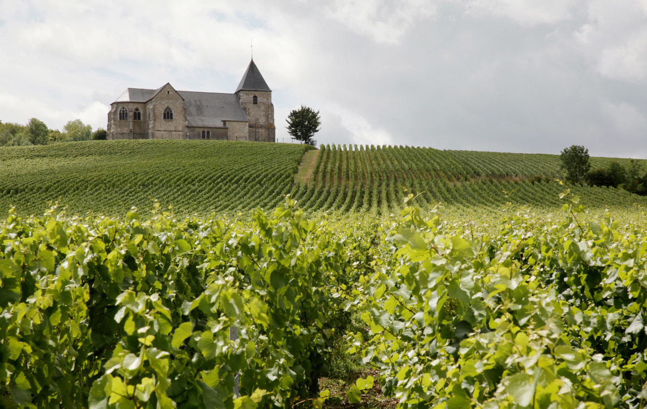 Dedicado à França, o Foire Aux Vins apresenta novidades da Chez France