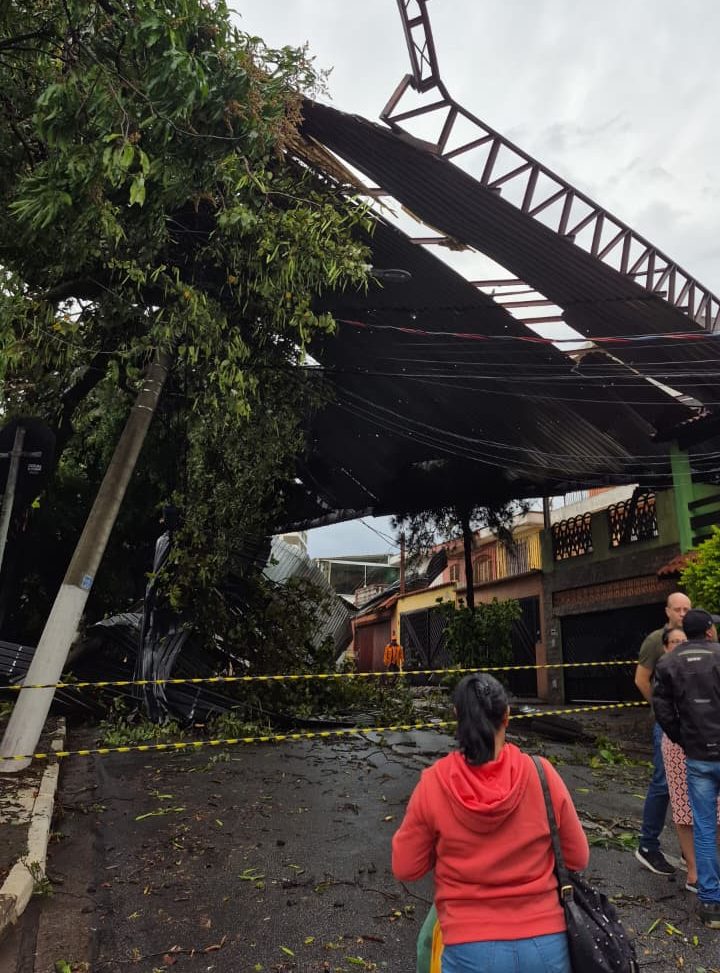 Temporais em SP provocam queda de árvores, deixam estragos e oito feridos
