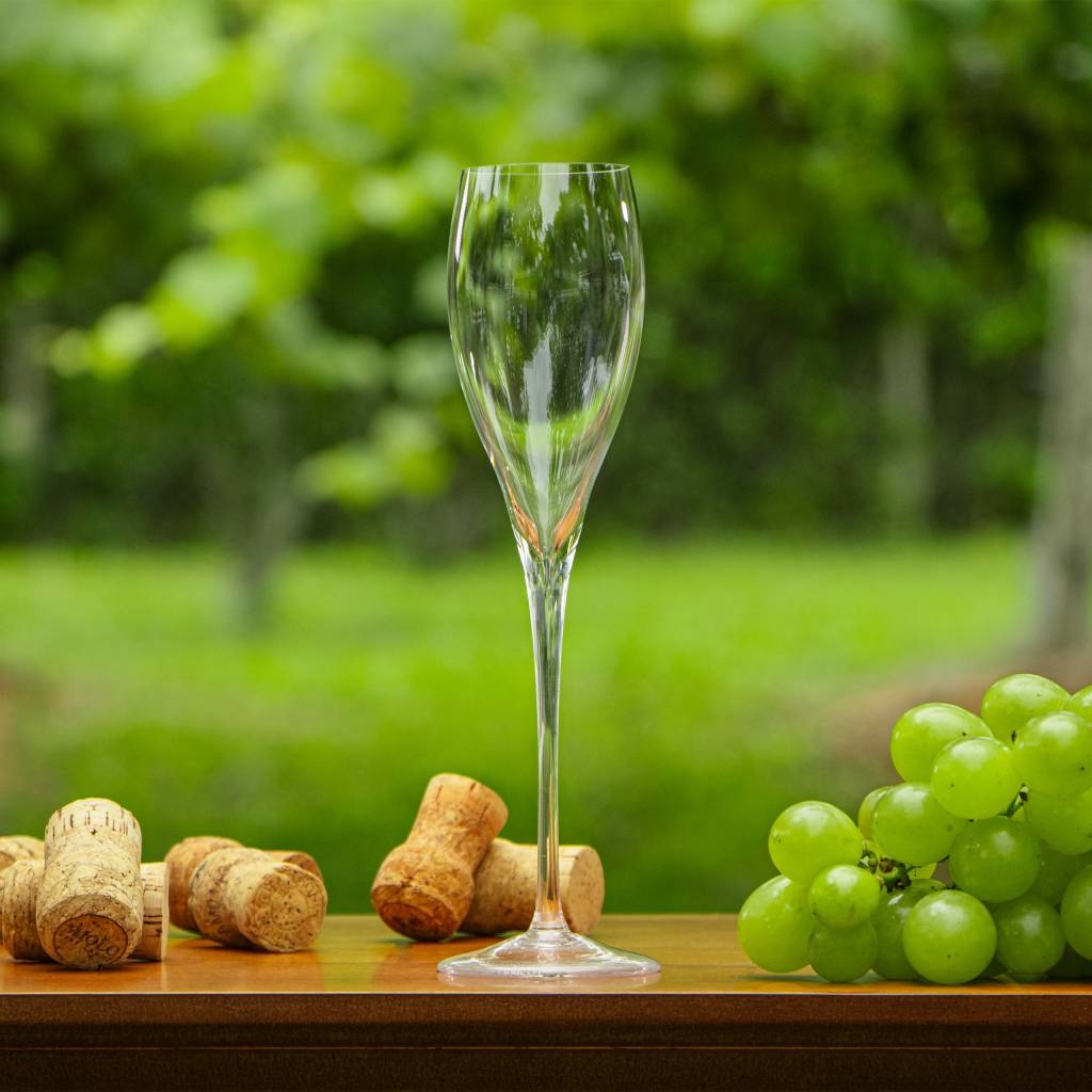 Bingo beneficente vai sortear viagens e joias em São Paulo