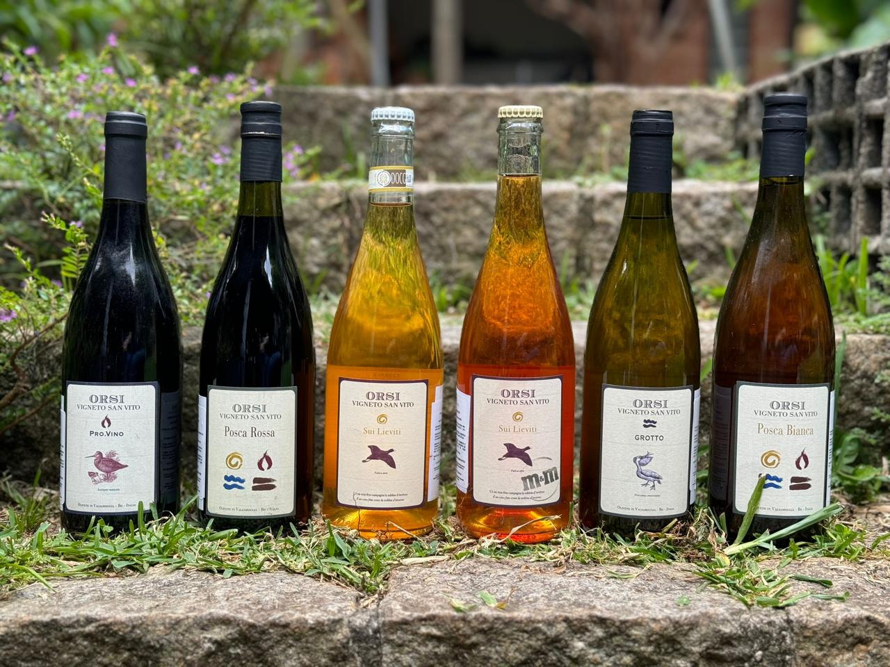 Vigneto San Vito apresenta seus vinhos autênticos no Wine Fest 2025