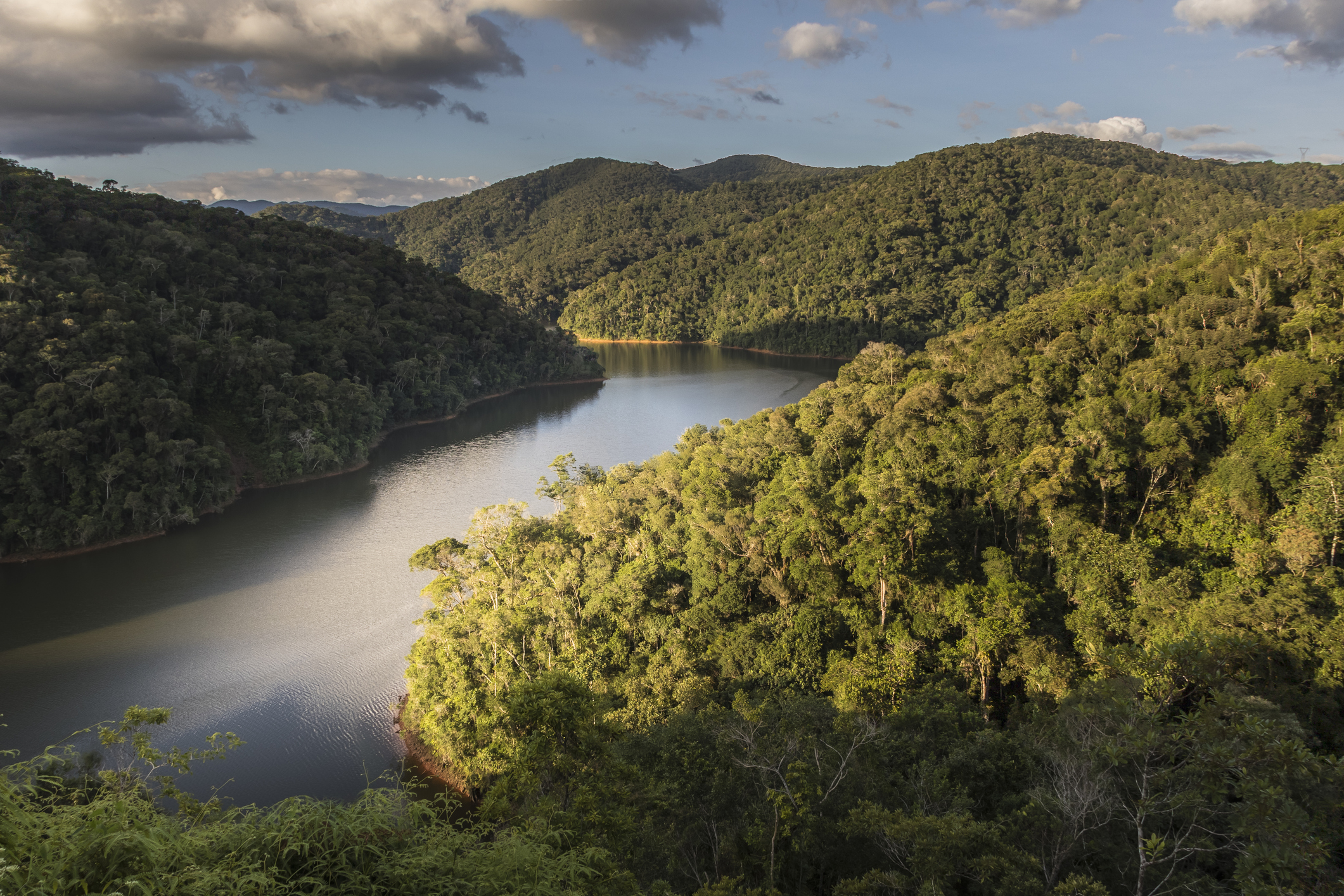 Parque Villa-Lobos recebe evento de preparação para a COP30