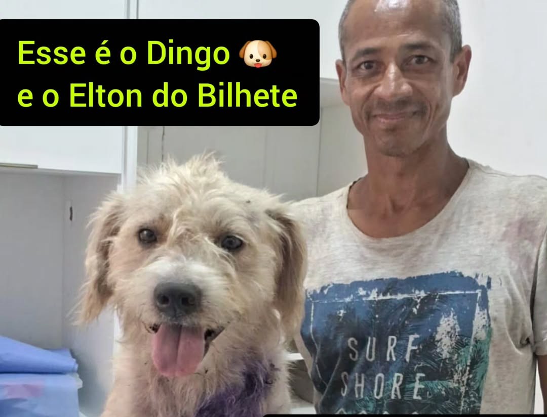 Bilhete de homem em situação de rua salva cachorro ferido no interior de SP