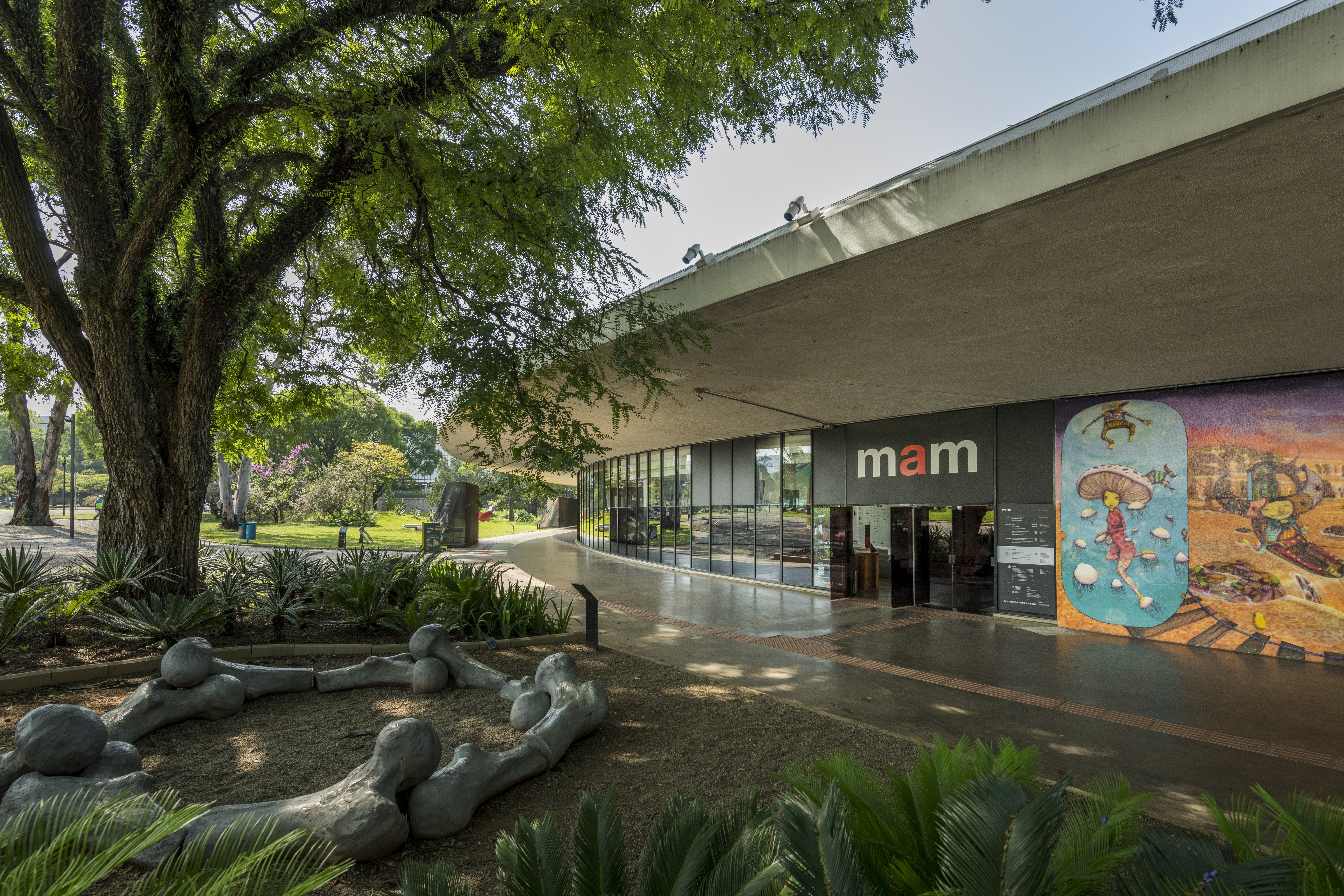museu de arte moderna reabertura